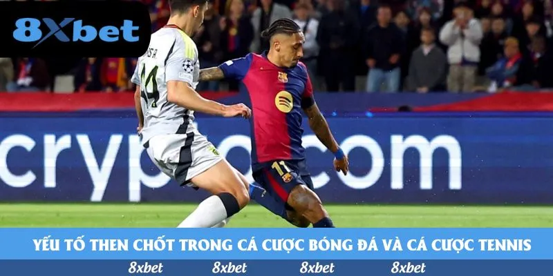Sự khác biệt về mặt bản chất giữa cá cược bóng đá và cá cược Tennis